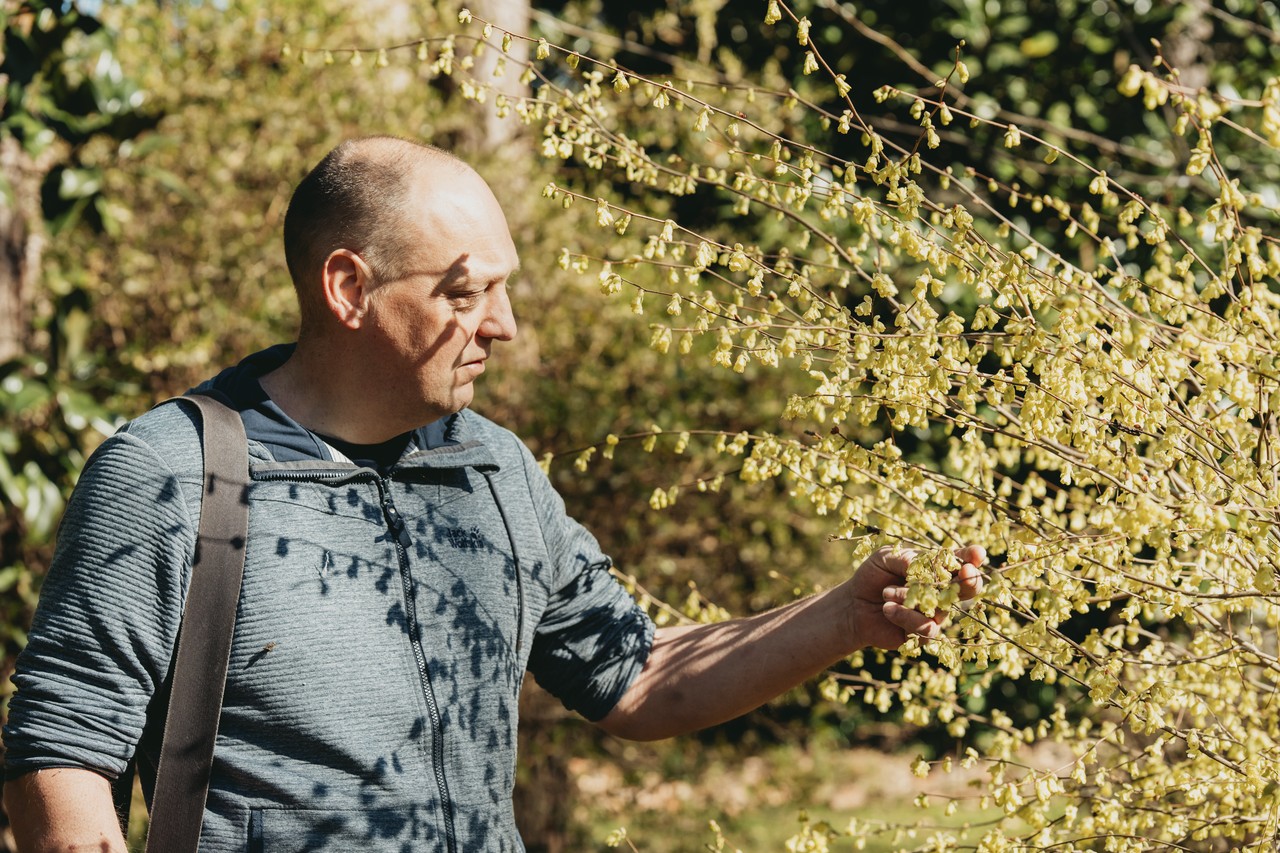 Jaarlijks volgen we de tuin op en sturen bij waar nodig. Zo blijft jouw tuin in topconditie