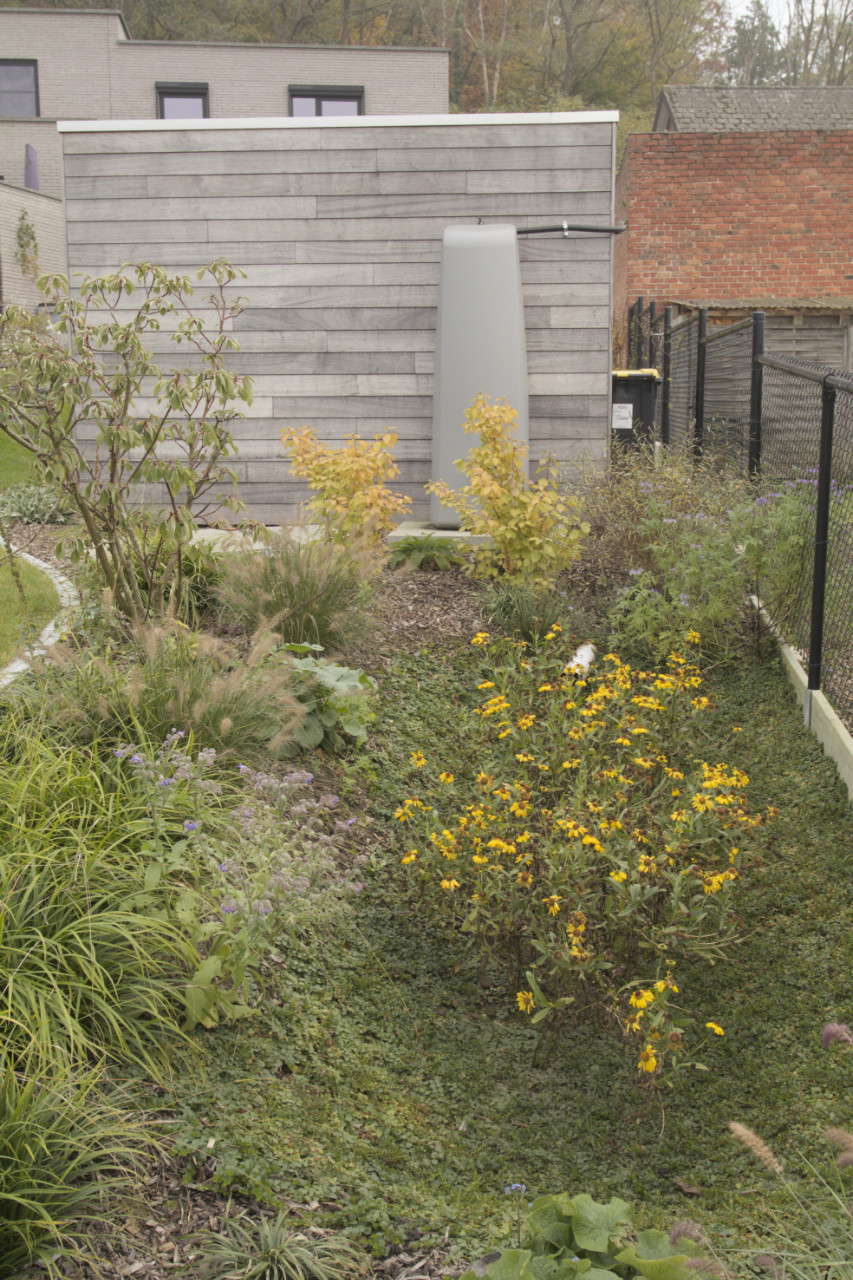 Duurzame tuinontwerpen voor ieders budget